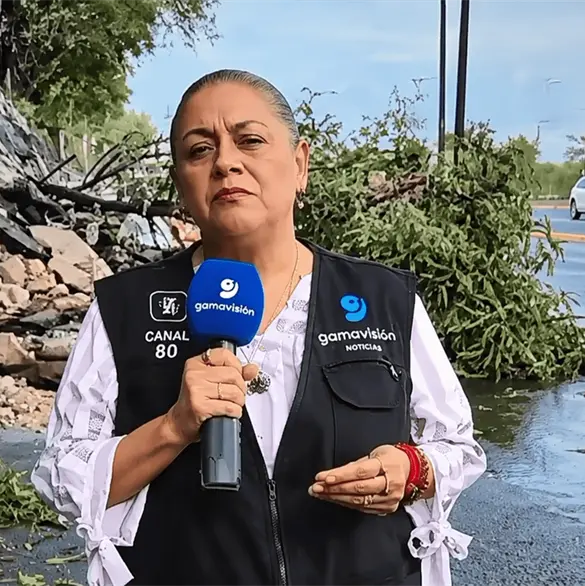 Revelan estado de salud de la reportera y el camarógrafo que fueron atropellados durante enlace en vivo en Monterrey Revelan estado de salud de la reportera y el camarógrafo que fueron atropellados durante enlace en vivo en Monterrey