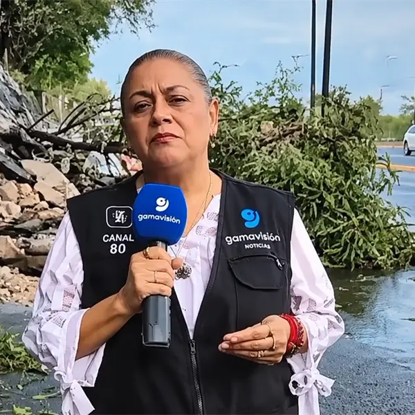 Revelan estado de salud de la reportera y el camar&oacute;grafo que fueron atropellados durante enlace en vivo en Monterrey