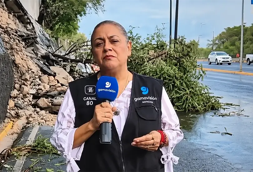 ¿Cómo están la reportera Alma De la Rosa y su camarógrafo tras ser atropellados en Monterrey?