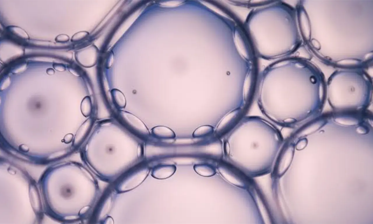  Cerca de 200 aislados tras la muerte de una laboratorista por neumonía. Imagen ilustrativa. 