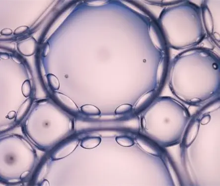 &iquest;Qu&eacute; se sabe de la investigadora de laboratorio que habr&iacute;a muerto muri&oacute; por una infecci&oacute;n desconocida?