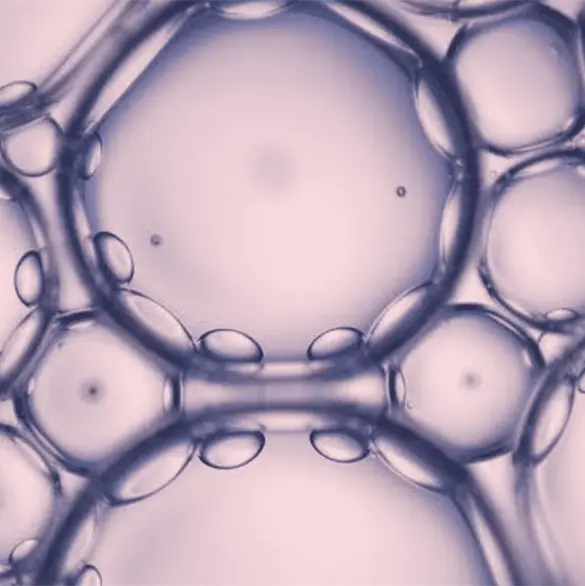 &iquest;Qu&eacute; se sabe de la investigadora de laboratorio que habr&iacute;a muerto muri&oacute; por una infecci&oacute;n desconocida?