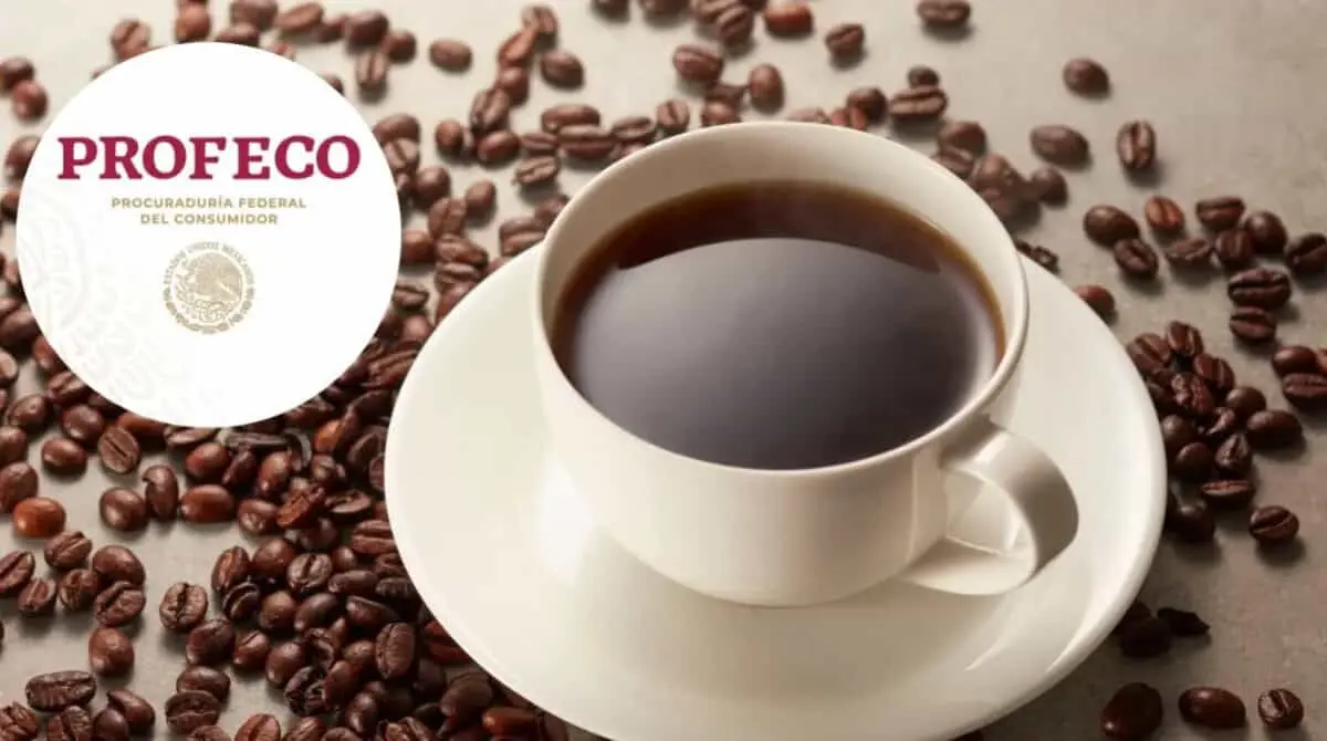  Estos cafés solubles destacaron por sus resultados de pureza en las pruebas de Profeco. 