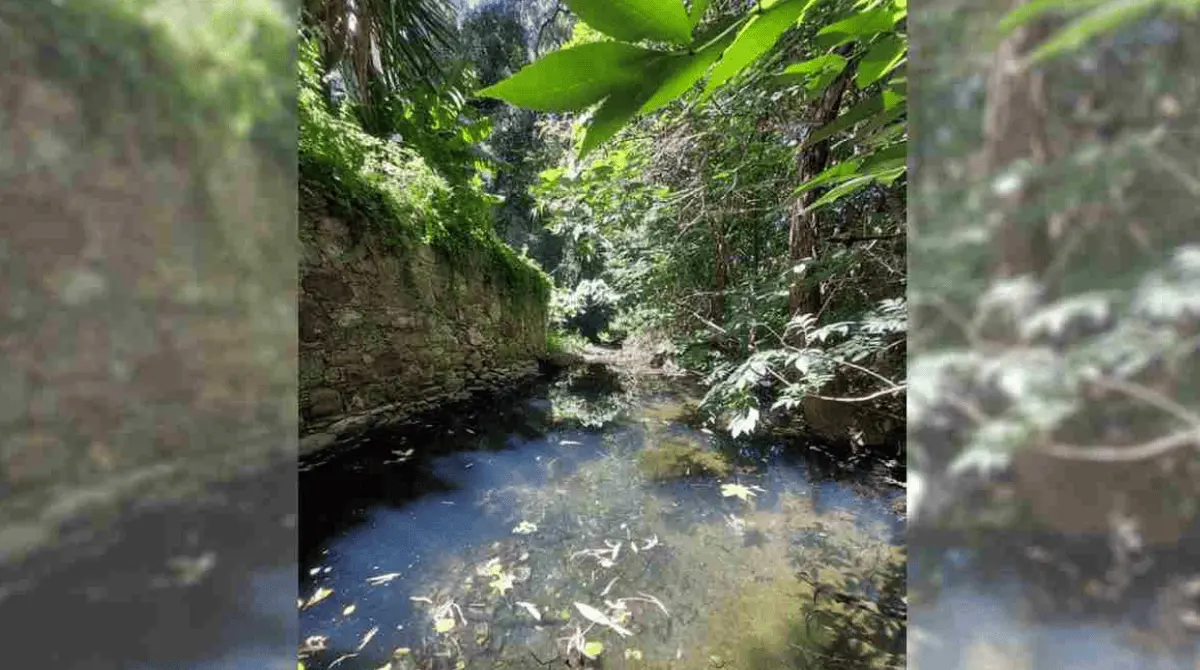 El cuerpo de Johan fue localizado en el río Pastita en el municipio de Guanajuato. Especial