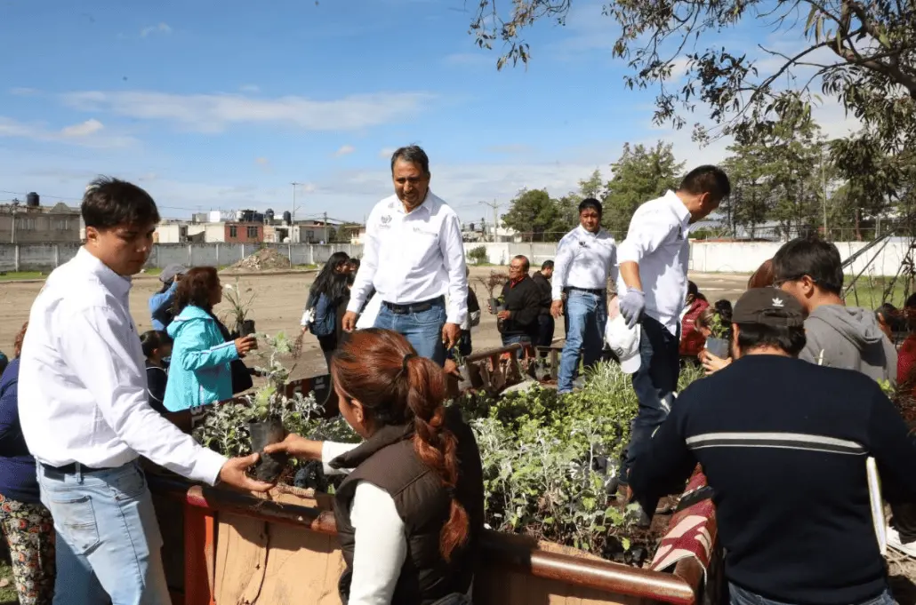 La segunda iniciativa presentada por el Ayuntamiento es Santuario de Polinizadores, un programa que comenzará con la creación de jardines para favorecer la presencia y conservación de especies que cumplen una función importante en los ecosistemas. RRSS.