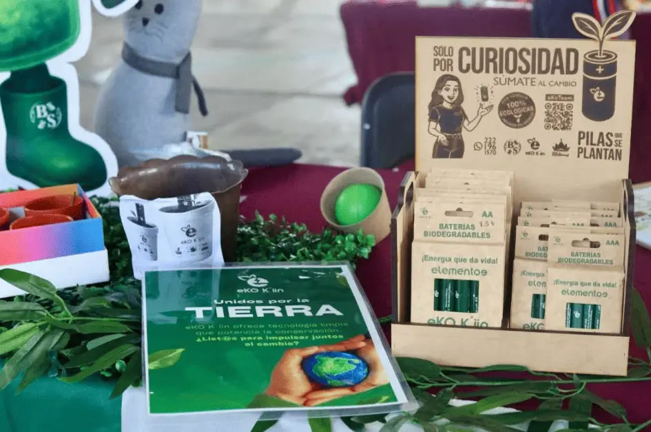 Estos espacios están diseñados para que el alumnado aprenda mediante el cultivo de alimentos y la participación directa en el cuidado de las plantas. RRSS.