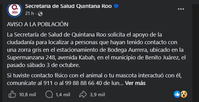 ¿Dónde reportar si tuviste contacto con la zorra con rabia? Especial