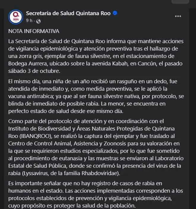 ¿Dónde reportar si tuviste contacto con la zorra con rabia? Especial