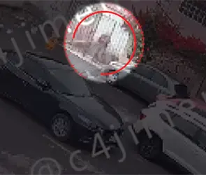 Carlos N fue contratado como alba&ntilde;il pero asesin&oacute; a Do&ntilde;a Mar&iacute;a para robar su auto; ya fue detenido