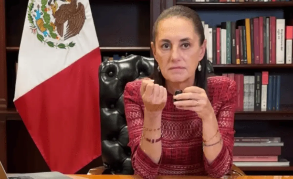 Durante su primer en vivo en redes sociales, la presidenta llamó a verificar la información que circula en internet y advirtió sobre la difusión de noticias falsas. Especial