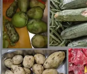 La verdad detr&aacute;s de las denuncias por cucarachas y alimentos descompuestos en el INP