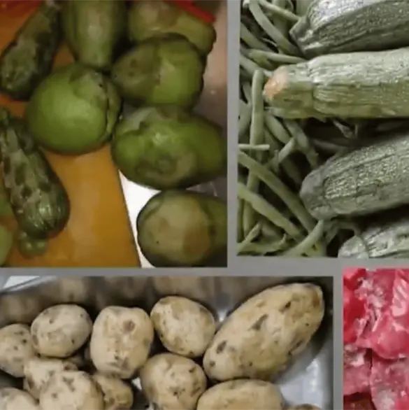 La verdad detrás de las denuncias por cucarachas y alimentos descompuestos en el INP