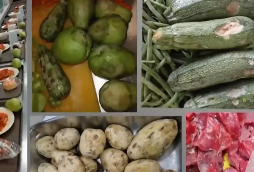 La verdad detrás de las denuncias por cucarachas y alimentos descompuestos en el INP La verdad detrás de las denuncias por cucarachas y alimentos descompuestos en el INP