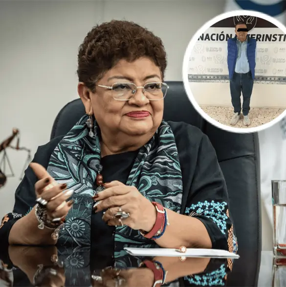 Ernestina Godoy y FGR acusan de traición a la patria a ex fiscal de Chihuahua por operativo con la CIA Ernestina Godoy y FGR acusan de traición a la patria a ex fiscal de Chihuahua por operativo con la CIA