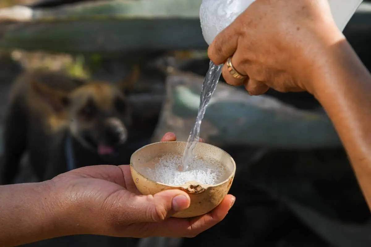  Oaxaca mantiene viva la tradición del mezcal a través de sus comunidades, campos de agave y elaboración artesanal. 