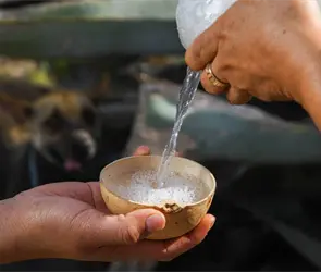 Oaxaca se consolida como l&iacute;der en la producci&oacute;n de mezcal en M&eacute;xico; estos son los pa&iacute;ses a los que se exporta