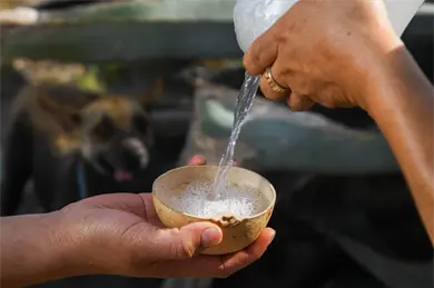 Oaxaca se consolida como l&iacute;der en la producci&oacute;n de mezcal en M&eacute;xico; estos son los pa&iacute;ses a los que se exporta