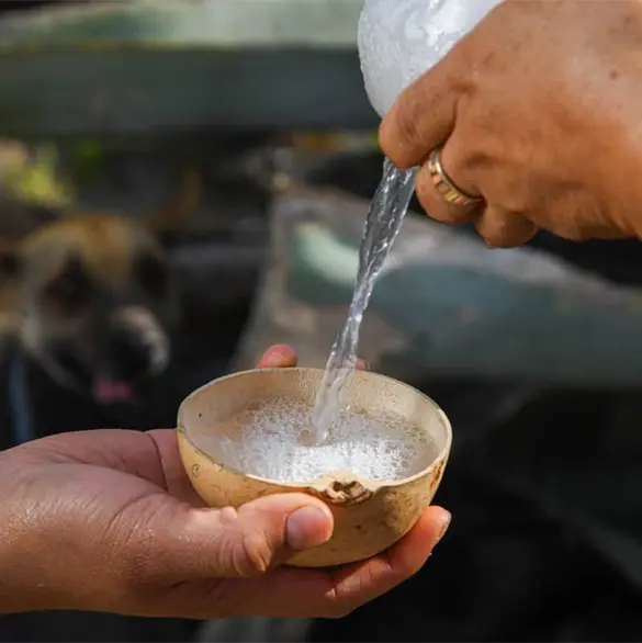 Oaxaca se consolida como líder en la producción de mezcal en México; estos son los países a los que se exporta Oaxaca se consolida como líder en la producción de mezcal en México; estos son los países a los que se exporta