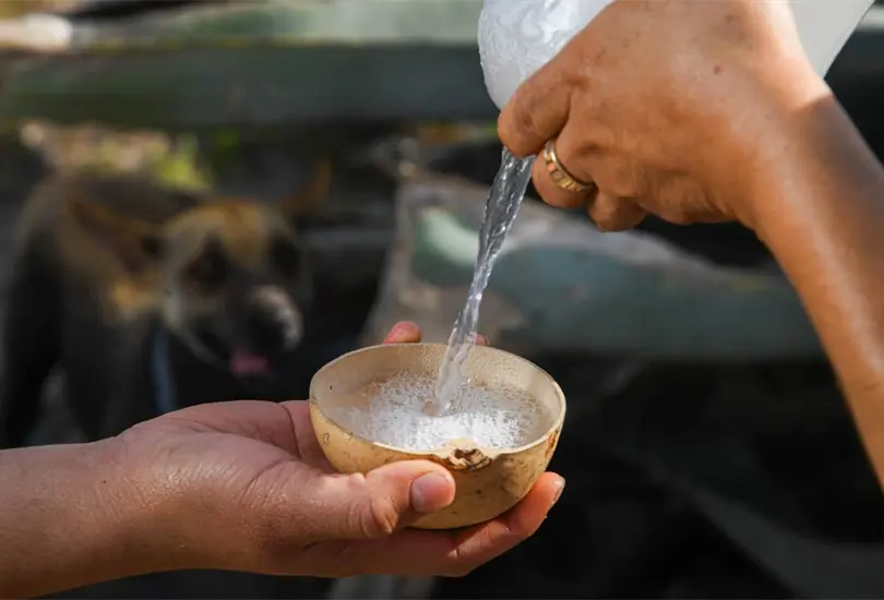 Oaxaca mantiene viva la tradici&oacute;n del mezcal a trav&eacute;s de sus comunidades, campos de agave y elaboraci&oacute;n artesanal.