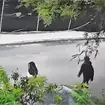 Captan presunto intento de secuestro de una joven en Escobedo: así ocurrió el ataque Captan presunto intento de secuestro de una joven en Escobedo: así ocurrió el ataque