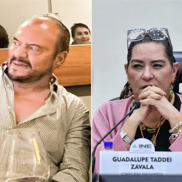 &iquest;Qui&eacute;n es Jos&eacute; Alfredo Hern&aacute;ndez Casillas, el contratista del INE y cercano a Guadalupe Taddei?