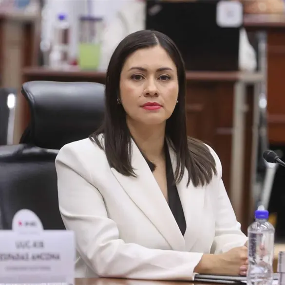¿Quién es Blanca Cruz García? La trayectoria de la nueva presidenta provisional del INE ¿Quién es Blanca Cruz García? La trayectoria de la nueva presidenta provisional del INE