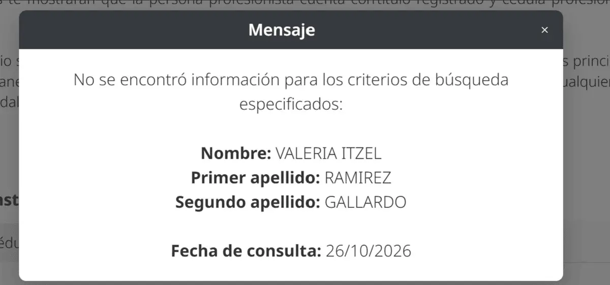 La ficha de Valeria Itzel Ramírez Gallardo en el directorio del INE no incluye información sobre su formación académica. Especial