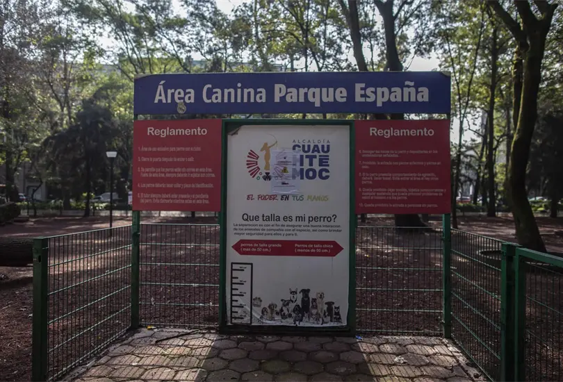 Envenenamiento de perros en CDMX: cifras y antecedentes.
