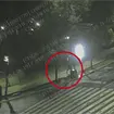 VIDEO: Salvador "N" fue captado dejando cebos envenenados en Parque Espa&ntilde;a